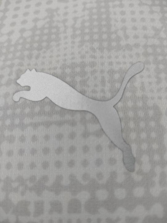 Actual product image Puma teamCUP Training Jersey (L)
