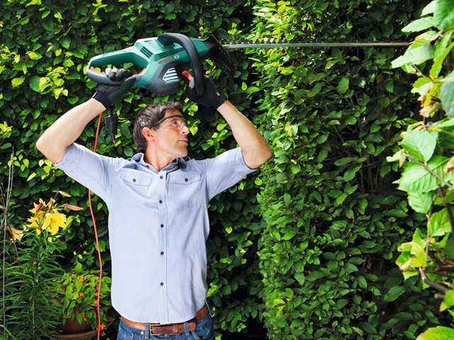 Produktbild Bosch Home & Garden Ahs 65-34