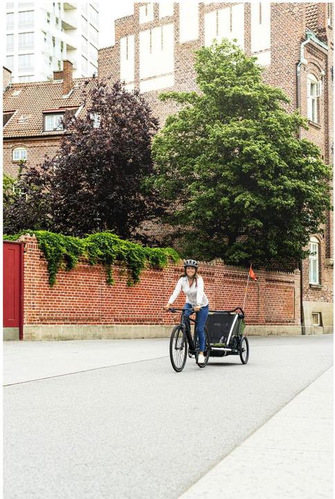 Actual product image Thule Chariot Cab