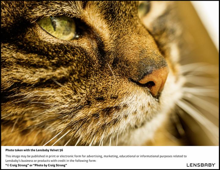 Produktbild Lensbaby Velvet 56 Nikon Z (Canon EF, Vollformat, APS-C / DX)