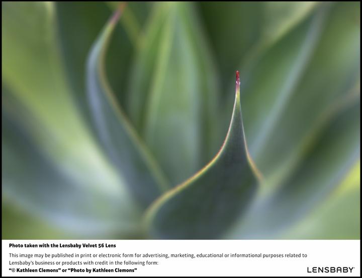 Produktbild Lensbaby Velvet 56 Nikon Z (Canon EF, Vollformat, APS-C / DX)