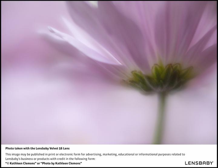 Produktbild Lensbaby Velvet 56 Nikon Z (Canon EF, Vollformat, APS-C / DX)