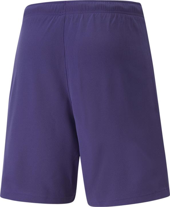 Actual product image Puma teamRISE Short-704942 (L)