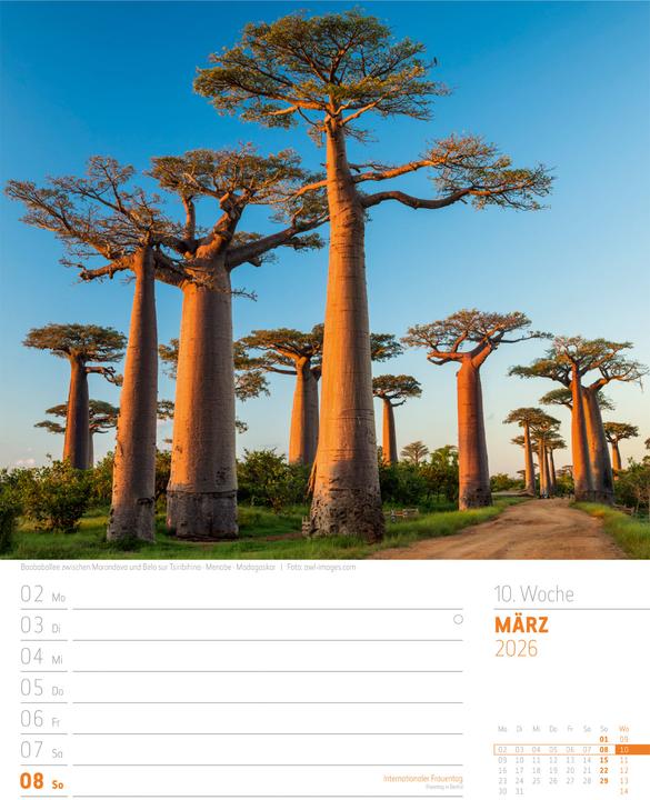 Produktbild Planet Erde - Landschaften der Welt - Wochenplaner Kalender 2026 (25 x 33 cm, Harter Einband, Deutsch)