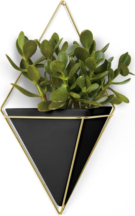 Actual product image Umbra trigger (9.50 cm)