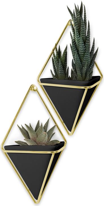 Trigg Wall Display S (11.40 cm)