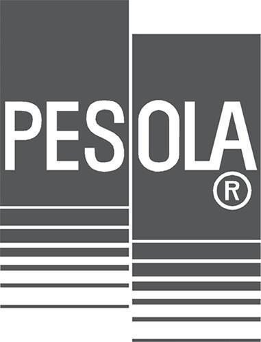 Immagine prodotto Pesola MS500