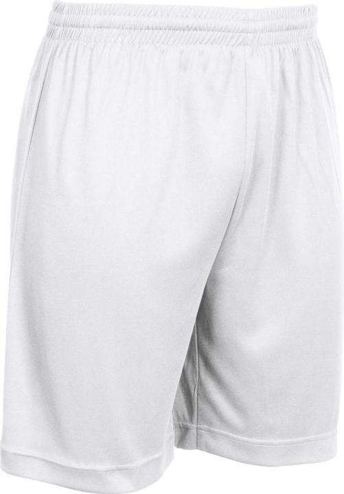 Actual product image Stanno Field Shorts (M)