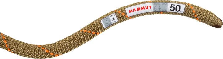 Produktbild Mammut 9.9 Gym Workhorse Classic Kletterseil (40 m)