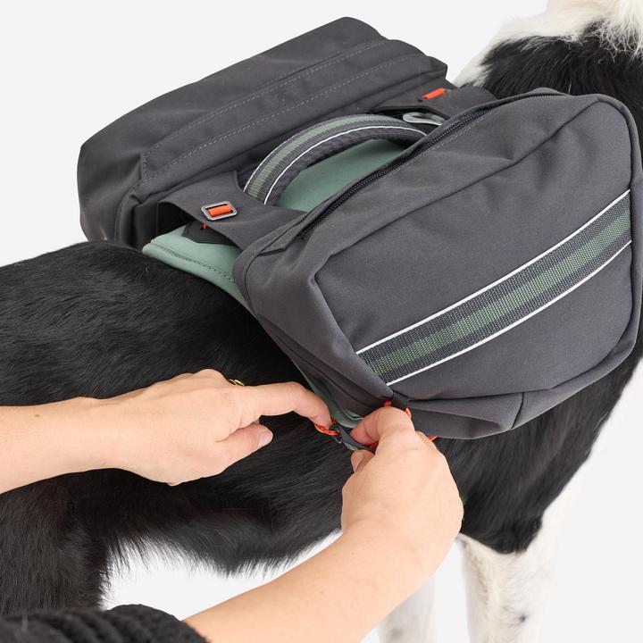 Actual product image Caperlan Hundegeschirr Wandern (S, Dog, Dog sport)