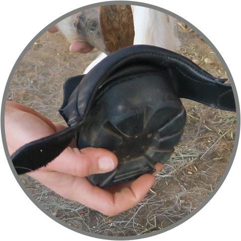 Actual product image Easyboot Mini hoof shoe