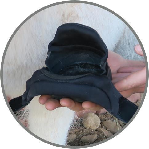 Actual product image Easyboot Mini hoof shoe