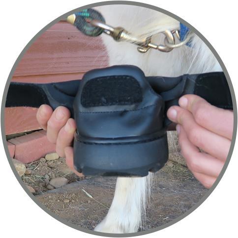 Actual product image Easyboot Mini hoof shoe
