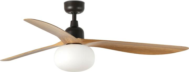Produktbild Faro Outdoor DC Deckenventilator Outwood BR-EI mit Licht