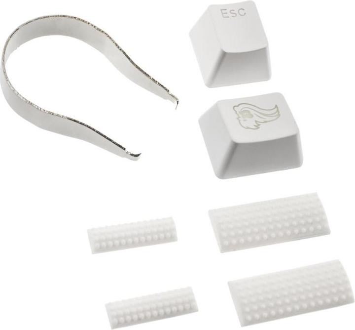 Image du produit Glorious PC Gaming Race GMMK TKL White Ice Edition (US, Filaire)