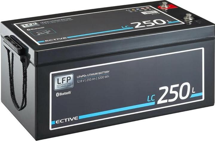 Actual product image Ective 12V 250Ah LiFePo4 Solar Battery Lithium Battery BMS Camper LFP BT Supply Battery (12 V, 250 Ah)