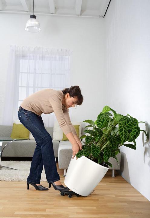 Actual product image Lechuza Classico (43 cm)