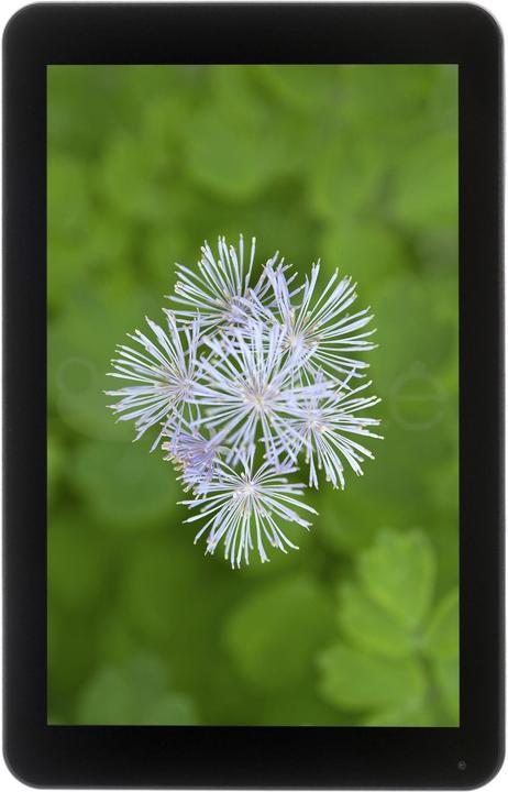 Produktbild Philips 10bdl3051t/02 (1280 x 800 Pixel, 10")
