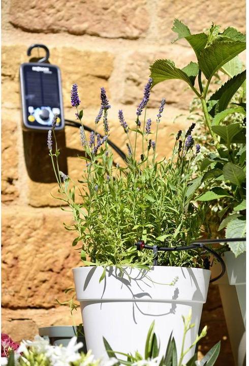 Actual product image Hozelock 100-101-033 Blumenkastenbewässerung (Water timer)