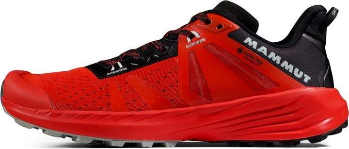 Mammut Saentis TR Low GTX (40)