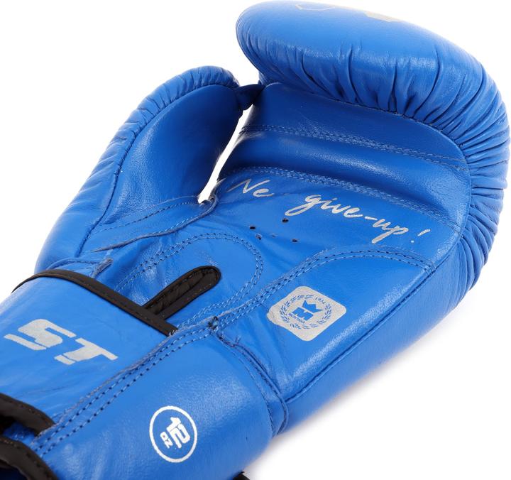 Actual product image Montana boxing gloves 34 st (10 OZ, 10)