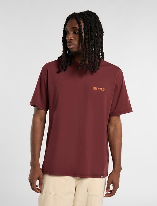 Immagine prodotto Dickies Burns Tee SS (M)