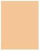 Image du produit Shiseido Revitalizing Skin Glow Fond de teint No 160 (160 Shell)