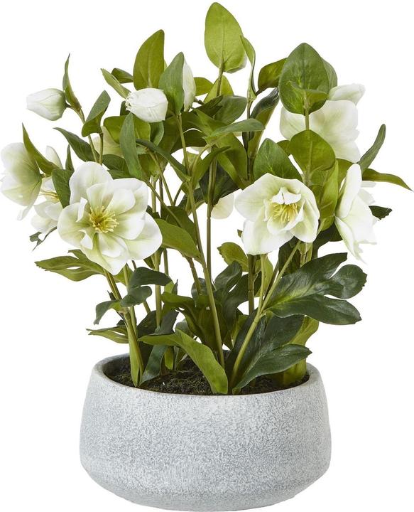Image du produit Hill Interiors Künstliche Topfpflanze (52 cm)