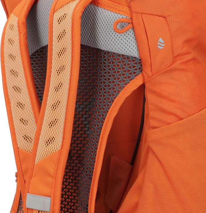 Actual product image Deuter AC Lite 22 (22 l)