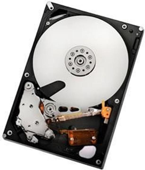 Hitachi HGST 2TB SATAII 32MB, RAID Refurbished (2 TB, 2.5")