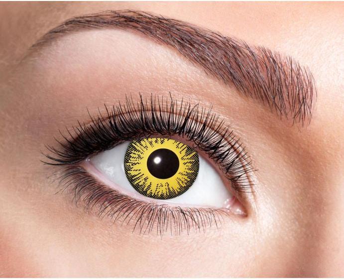 Immagine prodotto Zoelibat Girasole (Giallo/Nero)