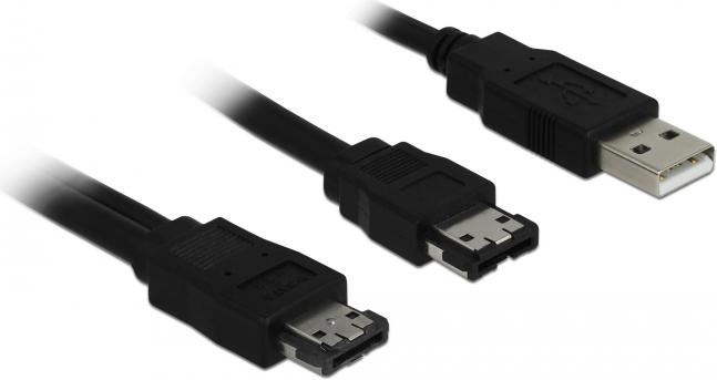 Actual product image Delock 2in1