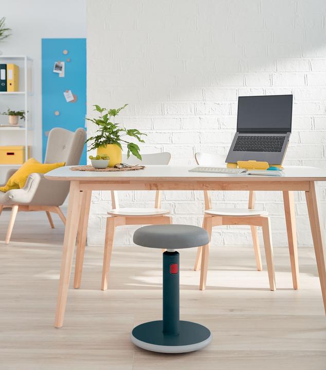 Immagine prodotto Leitz Ergo Cosy Attivo