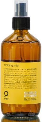 Oway Molding Mist 8.1 oz (240 ml)