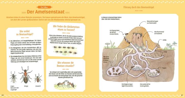 Produktbild Das grosse Buch der kleinen Tiere (Deutsch, Nathalie Tordjman, Emmanuelle Tchoukriel, Julien Norwood, 2022)