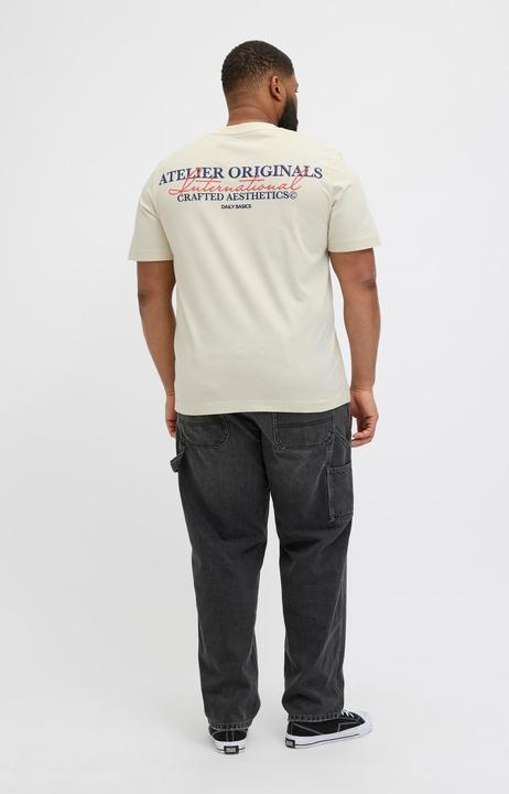 Immagine prodotto Jack & Jones Jorislington Type Tee Ss Crew Neck Pls (XXL)