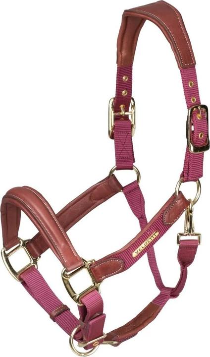 Immagine prodotto Velociti Pelle Imbottita Cavezza per Cavallo