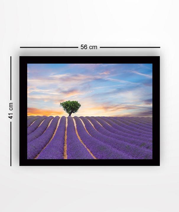 Produktbild Wallxpert August (41 x 56 cm)