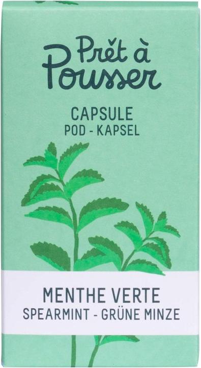 Prêt à Pousser menta verde (Semi di erbe)