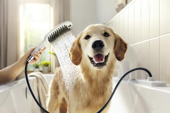 Immagine prodotto hansgrohe DogShower doccia per cani 150 3 tipi di getto Seleziona (3 Tipi di raggi, 7.60 l/min)