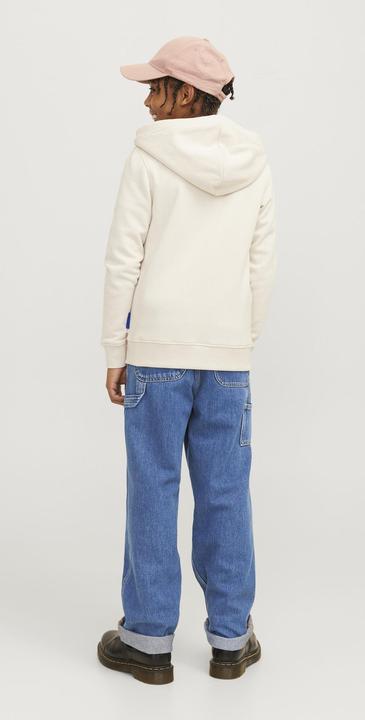 Actual product image Jack & Jones JJIALEX JJCARPENTER MF 055 JNR Baggy Fit Jeans Junior Baggy Fit Jeans (152)