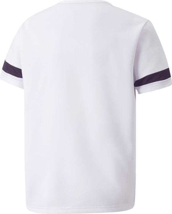 Actual product image Puma teamRISE Jersey Jr-704938 (152)