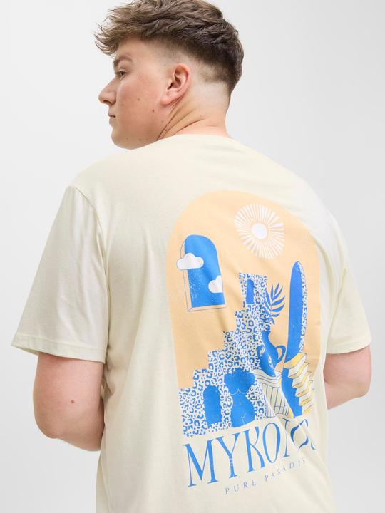 Actual product image Jack & Jones Locker geschnitten Rundhalsausschnitt Plus T-Shirt T-shirt (4XL)