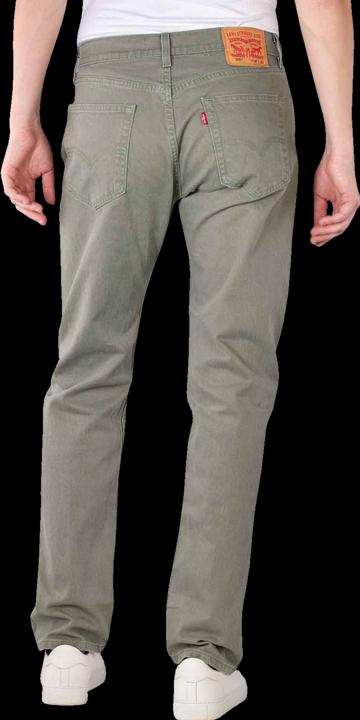 Actual product image Levis 10020239 (W31/L30)