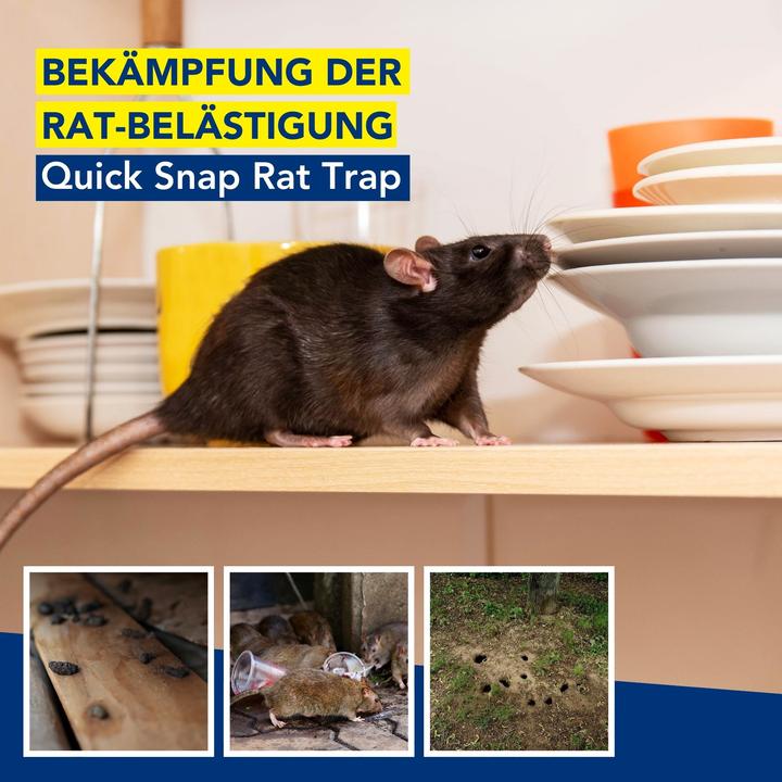 Image du produit Edialux Pi?ge ? rats Quicksnap, Promopack 2+1 pi?ces