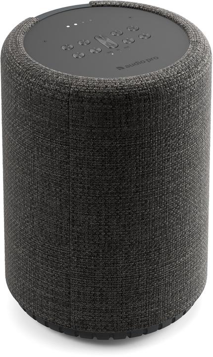 Actual product image Audio Pro G10 - Speaker (Bluetooth)