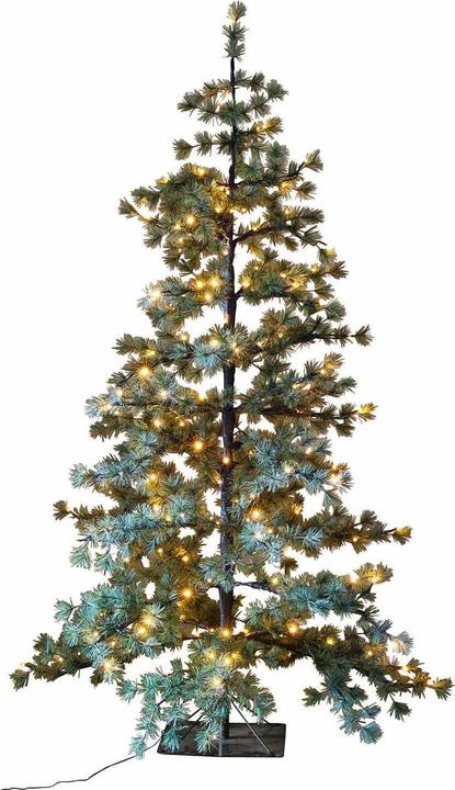 Loberon Weihnachtsbaum Sapi (180 cm)
