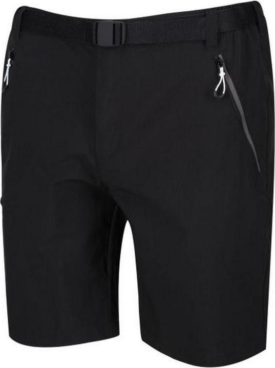 Actual product image Regatta Mens Xert III Stretch Shorts (56)