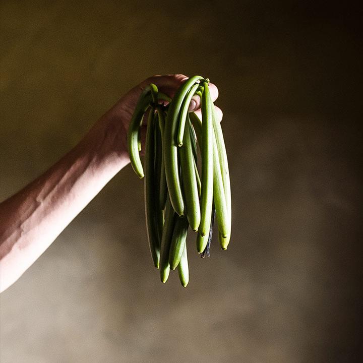 Actual product image 1001 Organic Vanilla Pods (9 g)