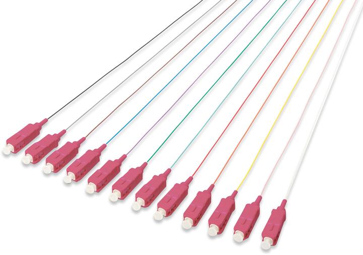 Produktbild Digitus SC/UPC 0.9mm 12 color LSZH pigtail Multimode 50/125um Class OM4 2m Steckerfarbe RAL4003 (LSOH, CAT8.2, 2 m)